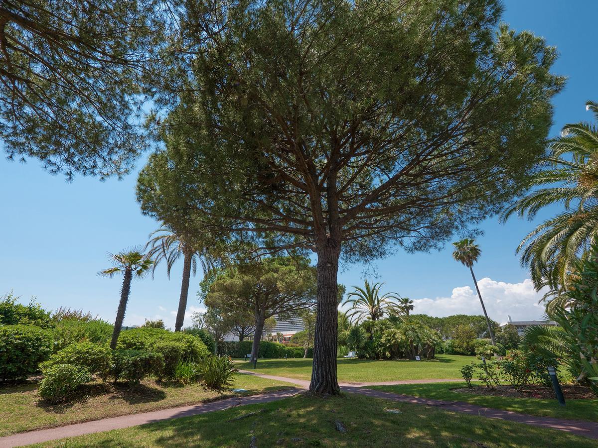 Hotel Bahia Villeneuve-Loubet Zewnętrze zdjęcie