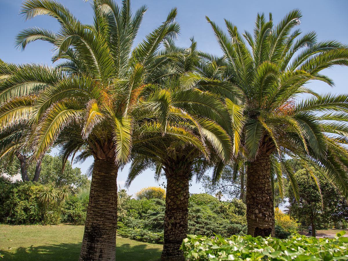 Hotel Bahia Villeneuve-Loubet Zewnętrze zdjęcie