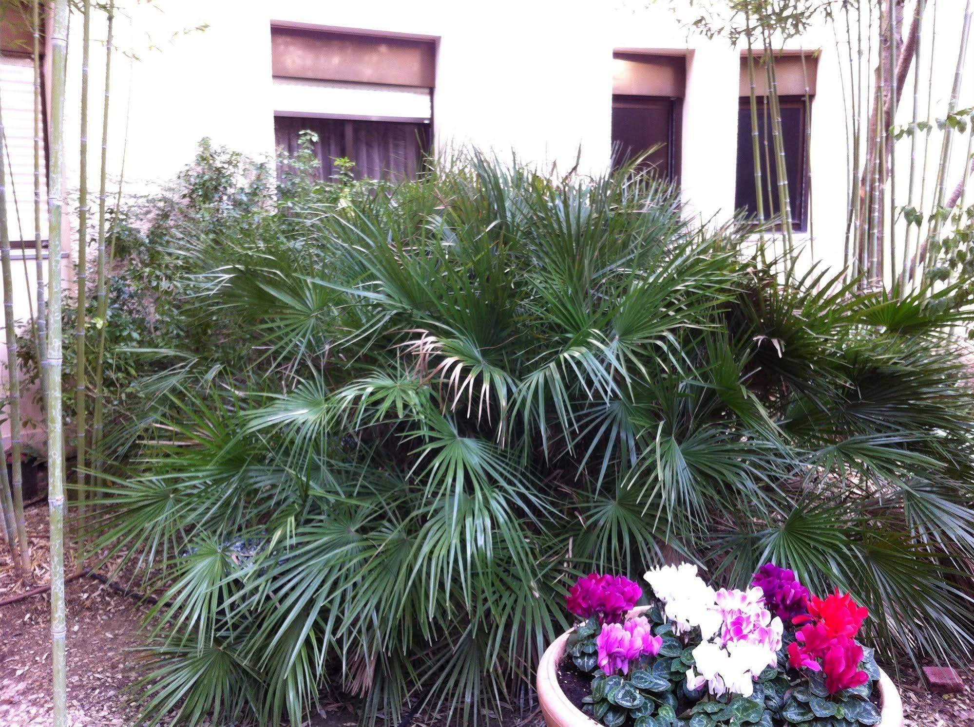 Hotel Bahia Villeneuve-Loubet Zewnętrze zdjęcie